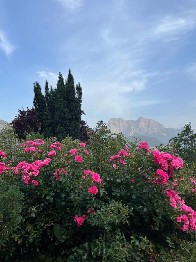 Gasserhof Barbiano  Bagian luar foto