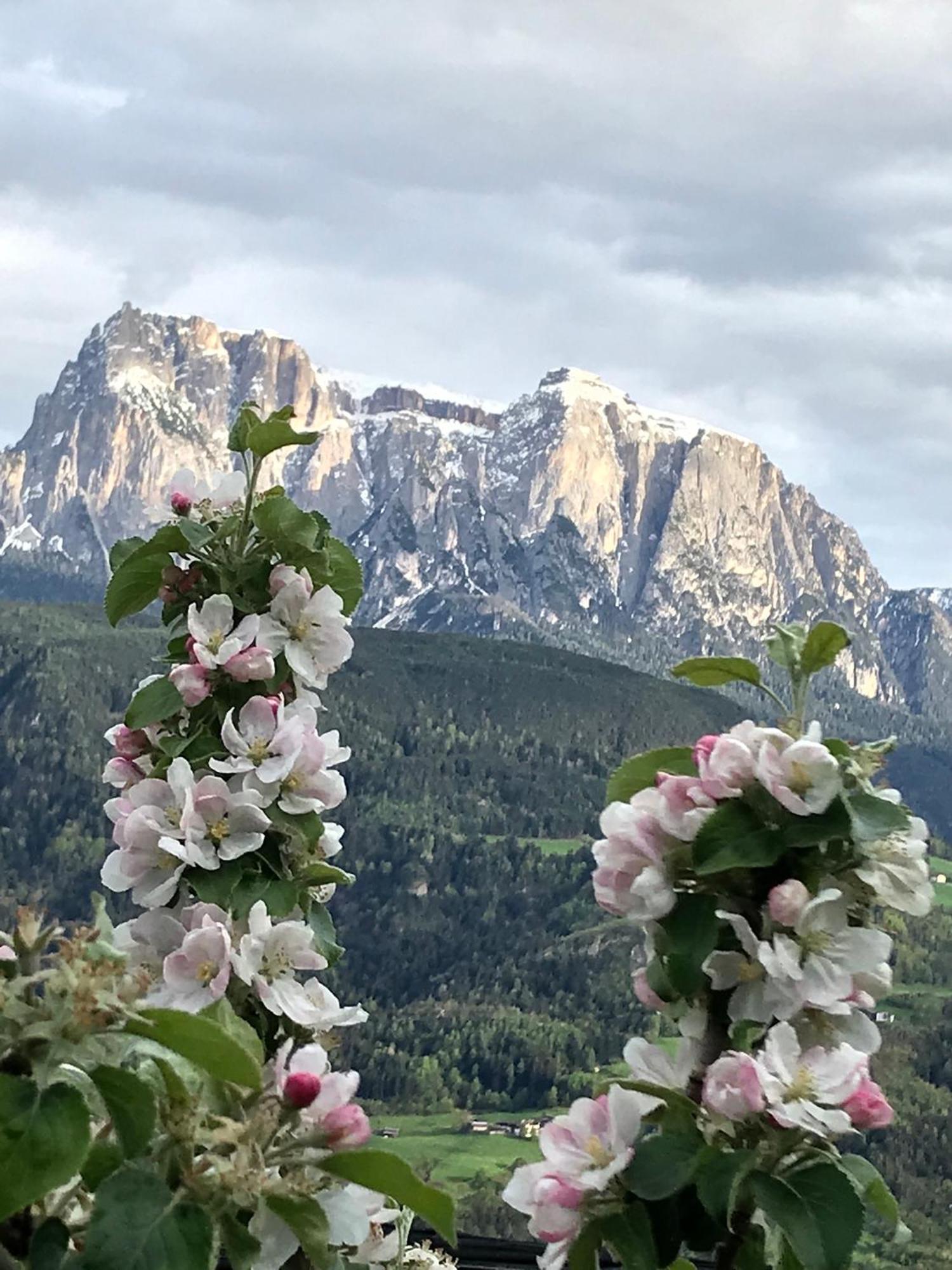 Gasserhof Barbiano  Bagian luar foto