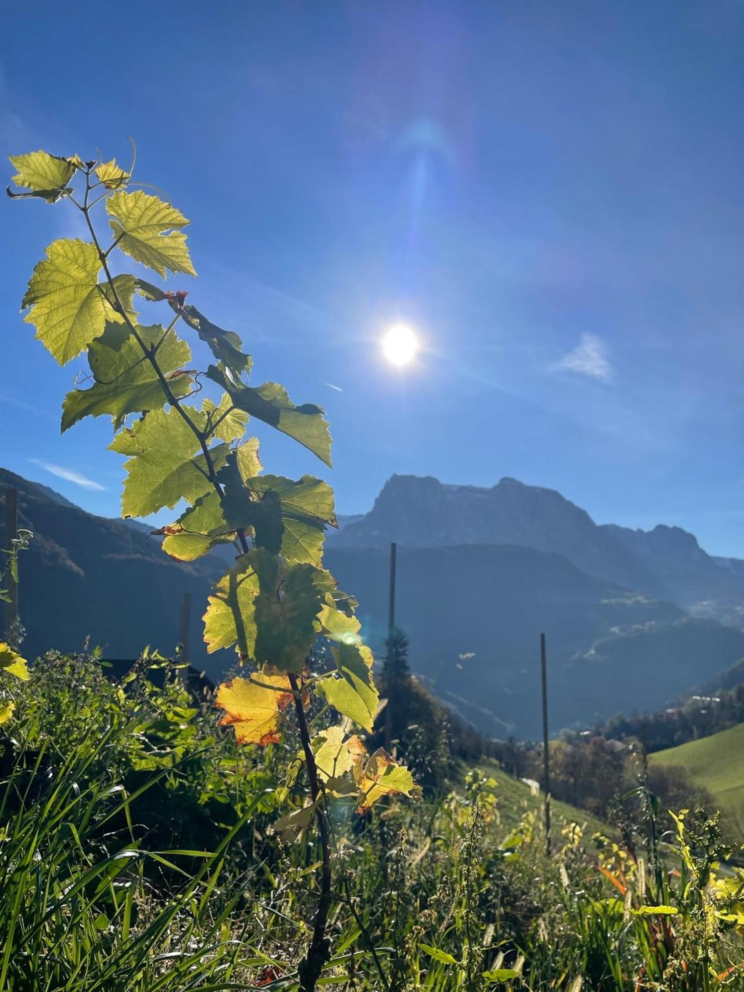 Gasserhof Barbiano  Bagian luar foto