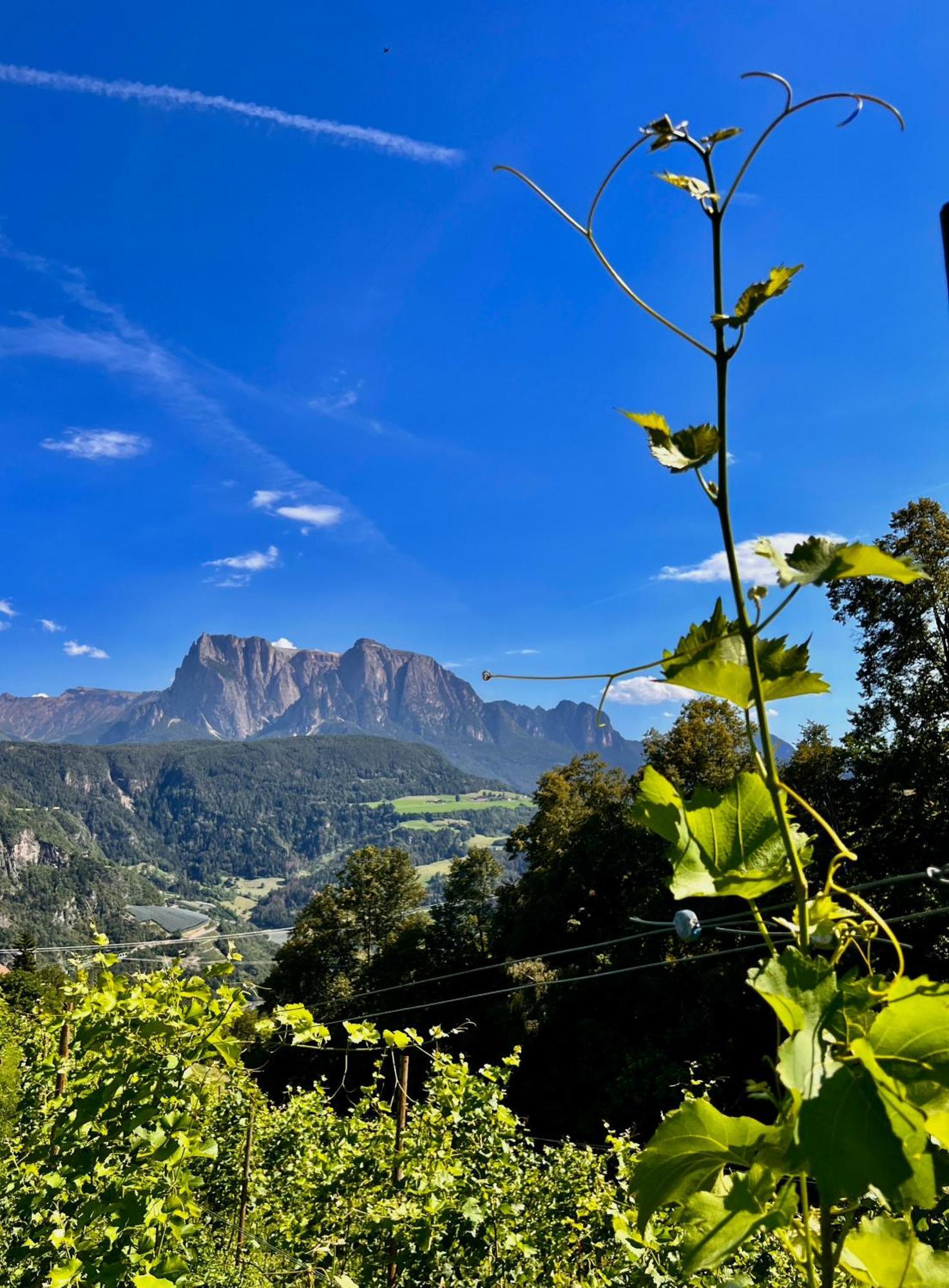 Gasserhof Barbiano  Bagian luar foto