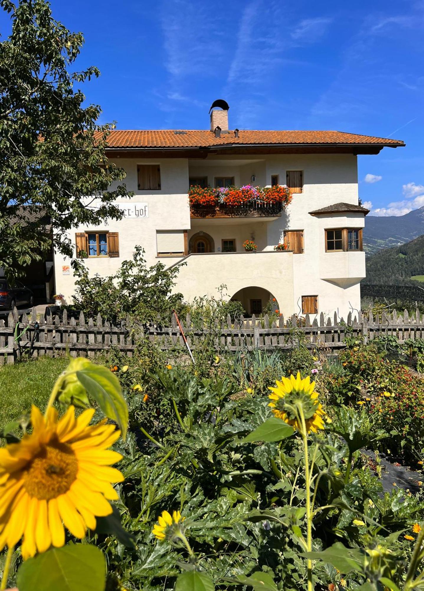 Gasserhof Barbiano  Bagian luar foto