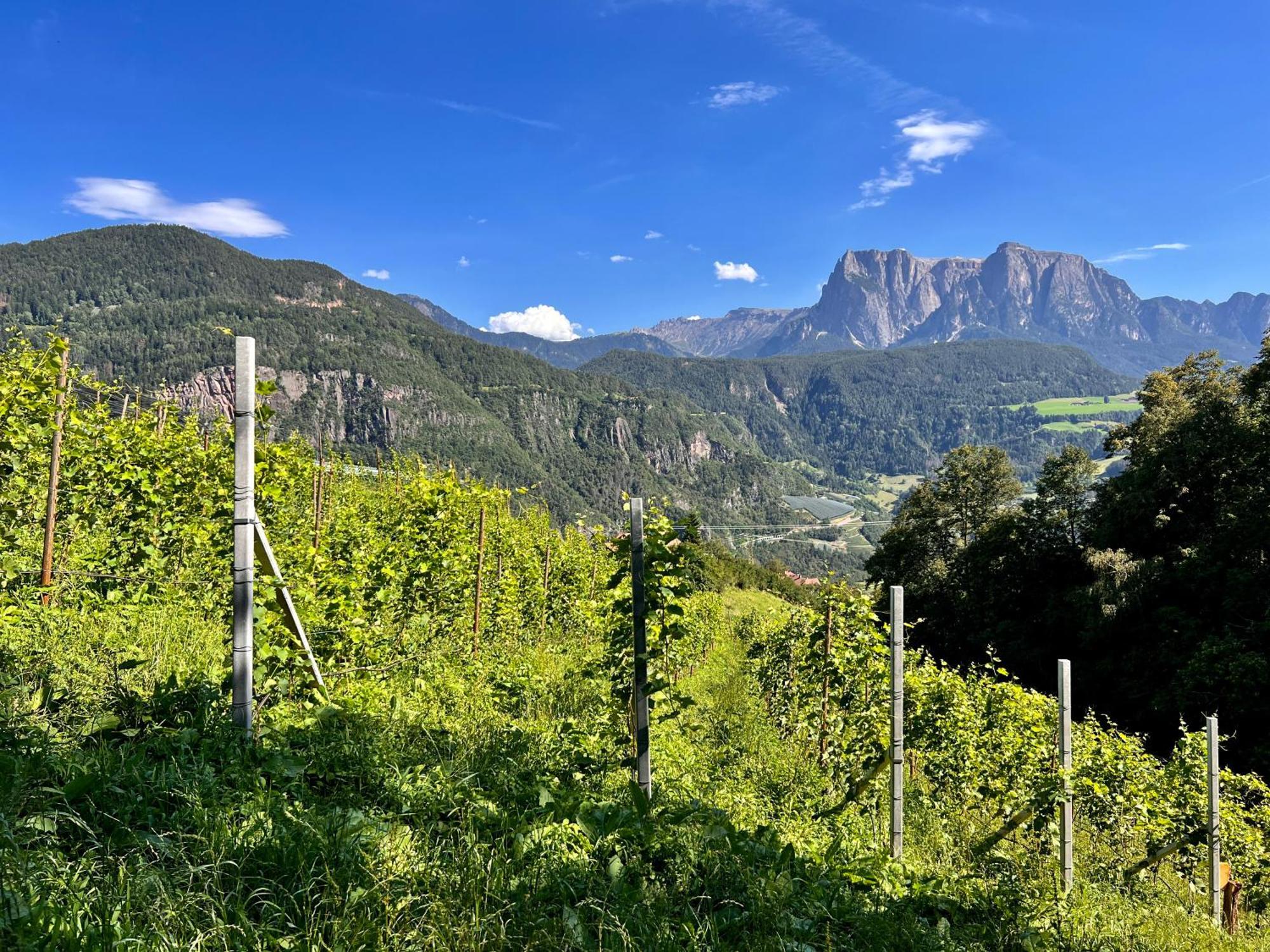Gasserhof Barbiano  Bagian luar foto